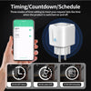 Tuya Wifi/Zigbee Smart Plug 16A/20A EU Smart Socket with Power Monitoring Timing Function Work with Alexa Googlehome